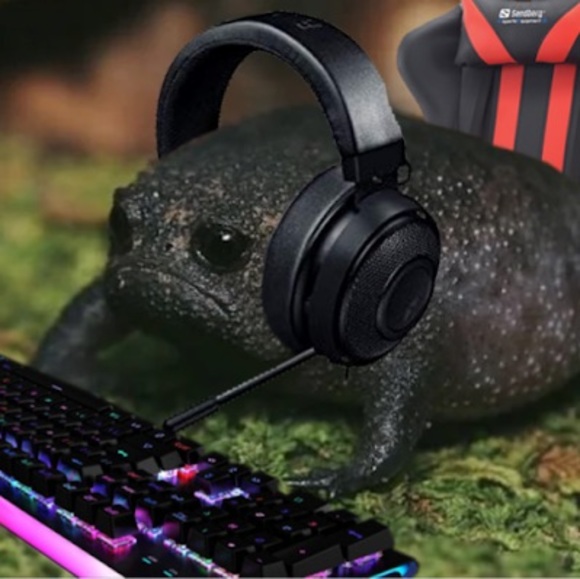 Meet your Posher, Javier - Picture 1 of 1